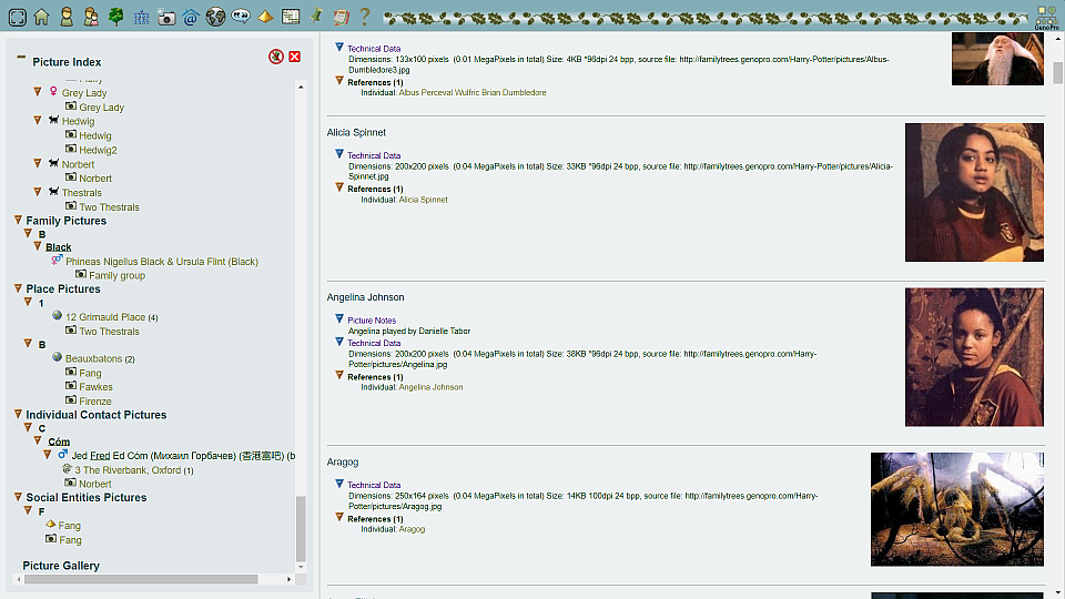 http://support.genopro.com/Uploads/Images/0e003889-e23b-437d-9731-dcf0.png