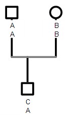 http://support.genopro.com/Uploads/Images/82e699db-fa28-4ebc-aa93-d51b.jpg