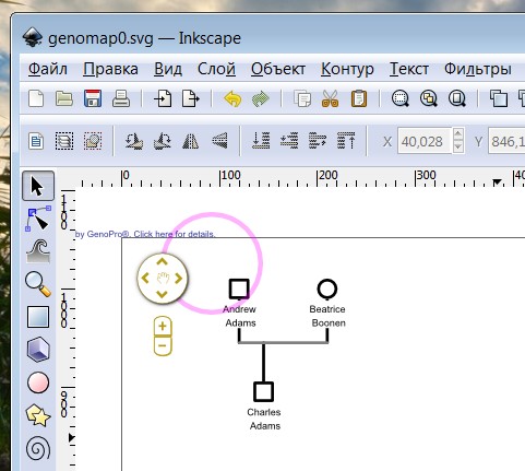 http://support.genopro.com/Uploads/Images/d792647d-e9fe-453a-9fc3-e48c.jpg